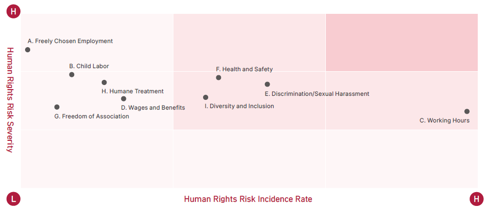 Risk Identification Results
